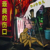 最美的伤口-DJ小鱼儿