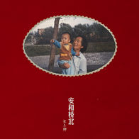 关忆北-宋冬野