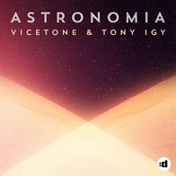 Astronomia-Vicetone/Tony Igy
