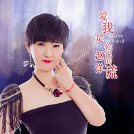 爱我是你说的谎-赵洋