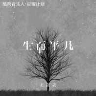 生而平凡 (DJ京仔版)-王富贵
